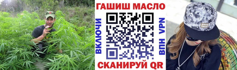 Купить где  Беломорск  ТГК концентрат 