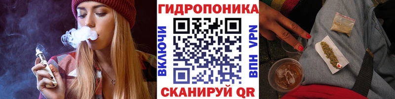 Купить закладки  Беломорск  Бошки Шишки сатива 